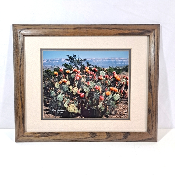 Harry Bowden "Boquillas Spring" Framed & Matted Photo Signed Limited Edition - Picture 1 of 14